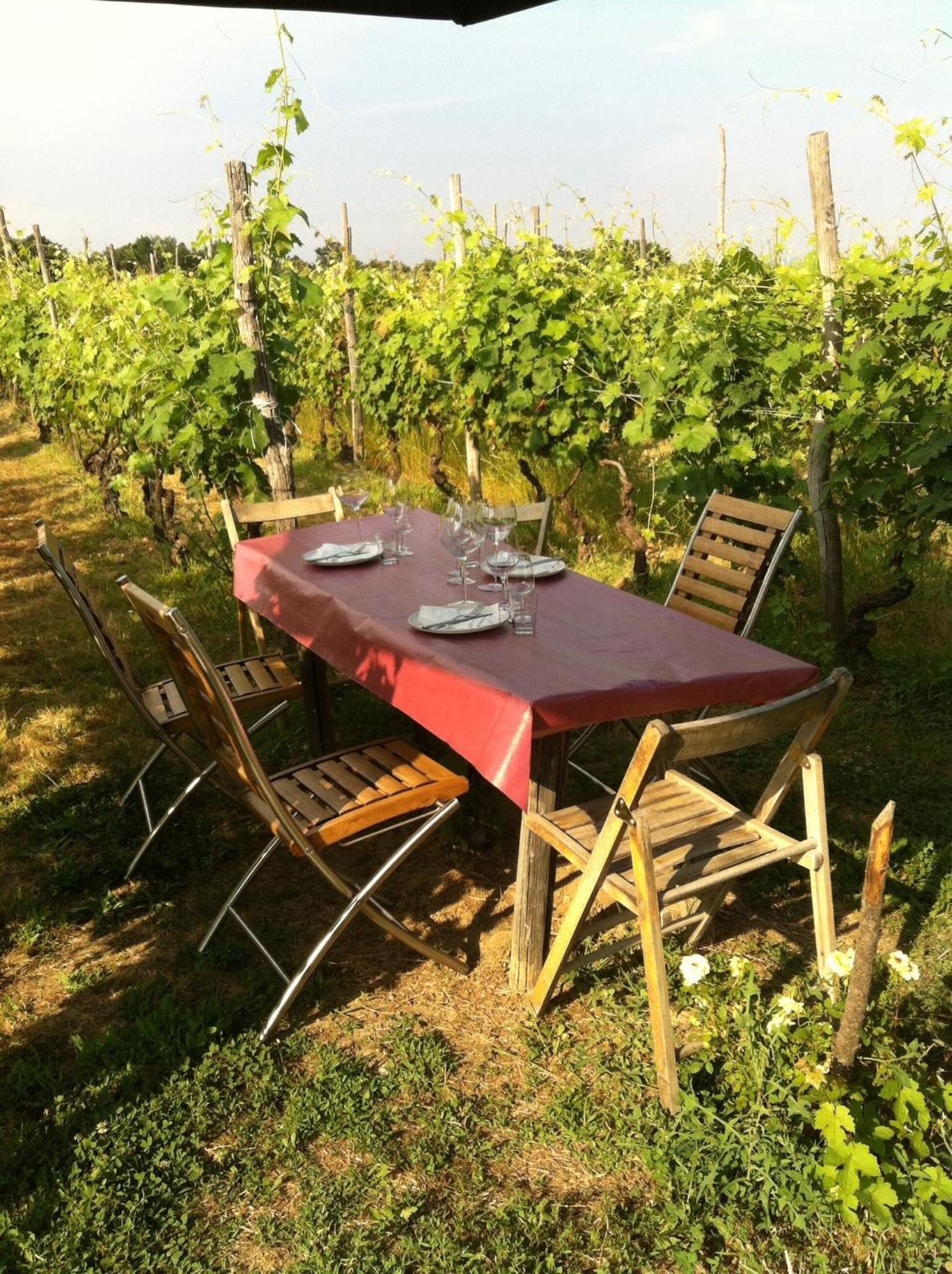Вілла Cascina La Maddalena Bed & Wine Rocca Grimalda Екстер'єр фото
