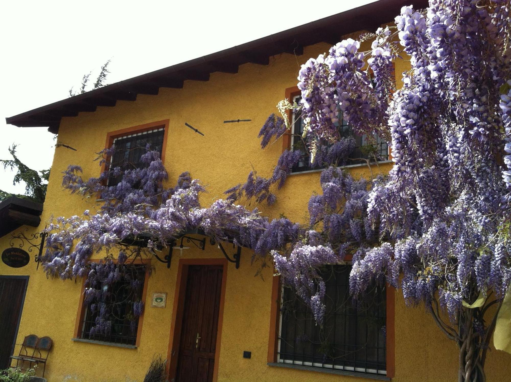 Вілла Cascina La Maddalena Bed & Wine Rocca Grimalda Екстер'єр фото