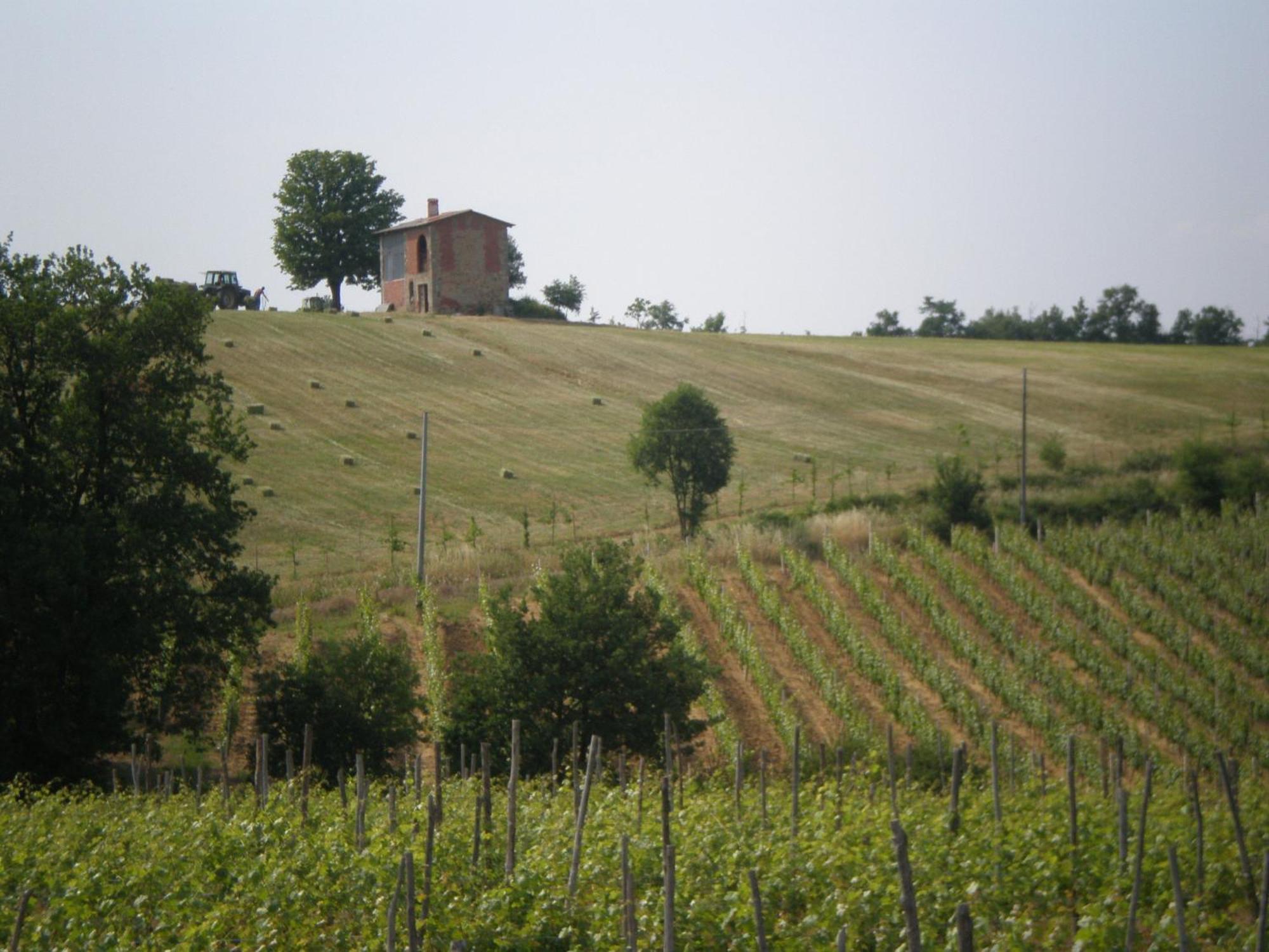 Вілла Cascina La Maddalena Bed & Wine Rocca Grimalda Екстер'єр фото