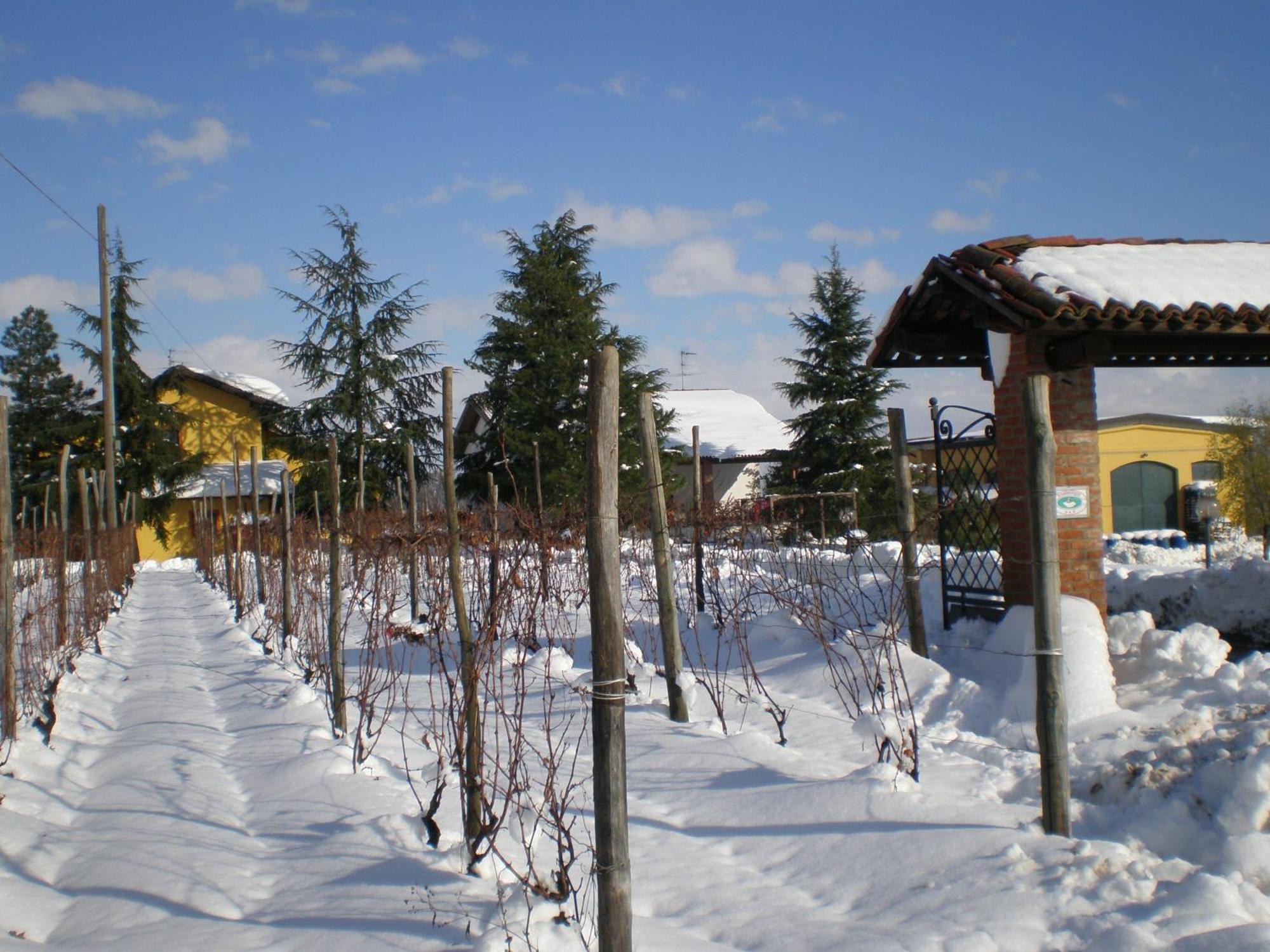 Вілла Cascina La Maddalena Bed & Wine Rocca Grimalda Екстер'єр фото